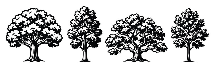 Obraz premium Detailed tree silhouettes, perfect for nature illustrations, botanical designs, and landscape graphics projects.