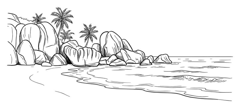Detailed tropical beach scene sketch illustration with rocks, palms, and waves in line art drawing style.
