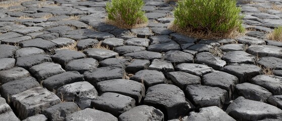 Close-up view of cracked stone surface with grass growing in between, highlighting natural textures and age