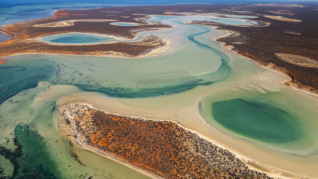 Aerial view of the stark contrast between the rust-colored earth and the turquoise waters of Francois Peron National Park, Francois Peron National Park, Western Australia, Australia.