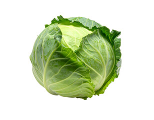 Fresh, crisp green leafy vegetable, round and tightly packed for health