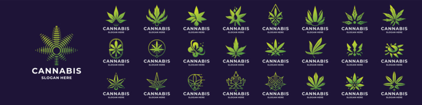 Abstract cannabis logos collection. hemp leaf icon inspiration, perfect logotype for company or brand.