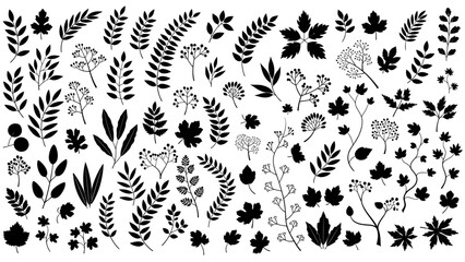 Collection of assorted black silhouettes of various plants and foliage arranged in a visually appealing composition
