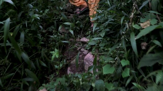 Women Farmers Collecting Grass for Cattle in Mountain Village