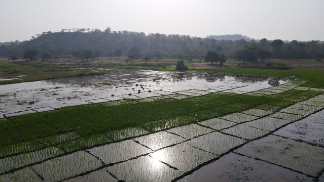Aerial view of sun glints off the flooded fields, interspersed with vibrant green crops, creating a mosaic of light and earth, Essan, Niger, Nigeria.