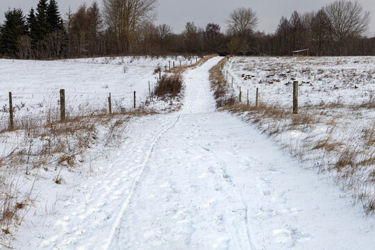 Winter countryside path with human footprints and sunlight.