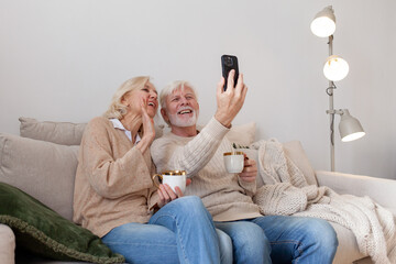 couple of elderly seniors are sitting on the couch at home and talking on video call, while grandmother and grandfather are drinking tea and talking online on smartphone