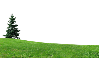 PNG White meadow border tree minimalist landscape.