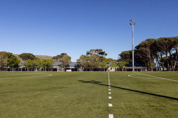 Artificial turf pitch is stretching to horizon with dashed center line, floodlight tower shadowing