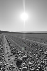 A vast, flat gravel plain (reg) stretching endlessly under a harsh, midday sun.