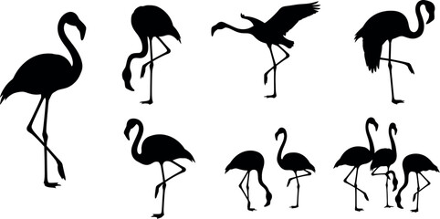 Collection of flamingo silhouettes in various poses © MSTNAZIA
