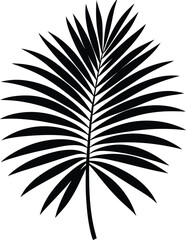 Palm leaf summer silhouette illustration.