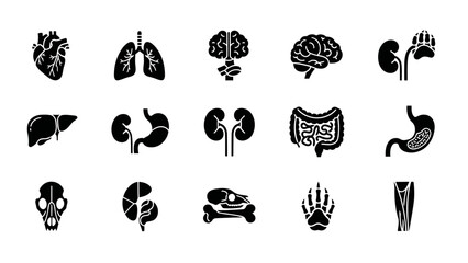 Fototapeta premium A clean and professional set of black minimalist icons illustrating dog anatomy and animal organs, arranged in a structured grid layout.