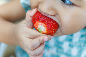 Little girl eating fresh strawberry - Close up of child biting fruit.