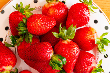 Washing fresh organic strawberries in metal bowl with apple cider vinegar solution to remove pesticides