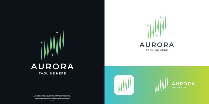 aurora borealis light star logo design inspiration.