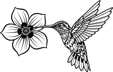 Obraz premium Hummingbird and flower line art illustration with detailed wings and petals black outline vector for tattoo and decor design