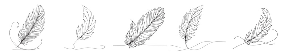 Obraz premium vector set of continuous line goose feathers