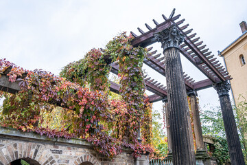 Pergola with Autumn Leaves and Columns.
