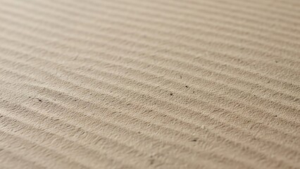 Eco Friendly Sustainable Packaging Texture