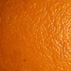 close up of orange
