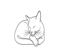 Obraz premium A serene illustration of a sleeping cat curled up in a peaceful and relaxed pose