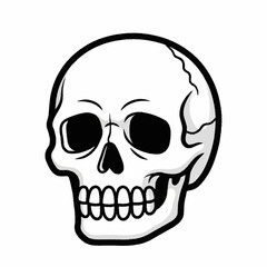 Fototapeta premium Detailed human skull illustration with bold outlines.