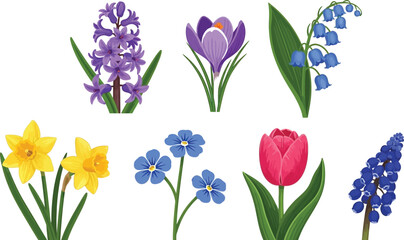 A beautiful collection of early blooming spring flowers featuring daisies daffodils hyacinths crocuses tulips forget me nots and grape hyacinths illustrations