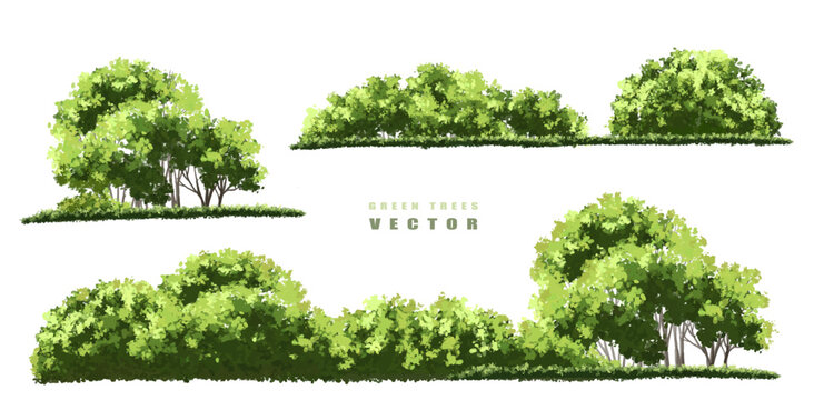 Vector watercolor green tree or forest side view isolated on white background for landscape and architecture drawing,elements for environment or garden,botanical element for exterior section in spring