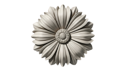 Decorative plaster rosette on white background, elegant floral accent for interior design