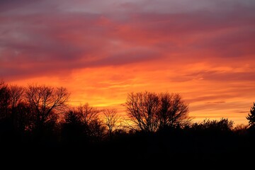 Obraz premium Generative AI Vibrant Sunset Over Silhouetted Tree Line with Dramatic Cloudscape