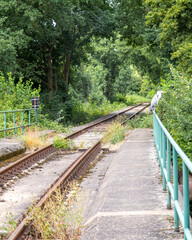 Obraz premium Train tracks run through overgrown area next to green trees and plants during daytime with bird resting on railing