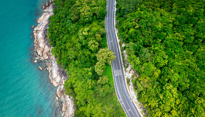 Aerial view of road between coconut palm tree and great ocean at daytime in Nakhon Si Thammarat, Thailand