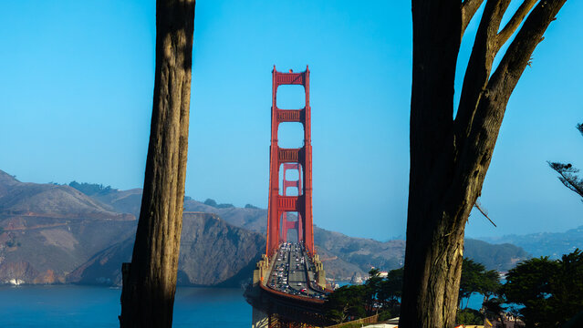 Aerial view of the majestic Golden Gate Bridge piercing through the fog, framed by towering trees, San Francisco, California, United States.