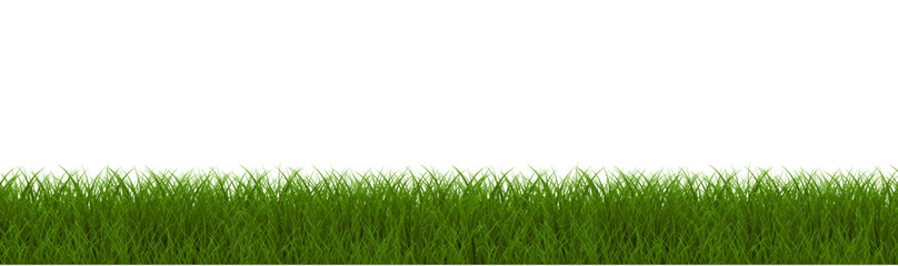 Green Grass Border White With White Background