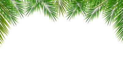 Eco Frame And Palm Tree Leaves