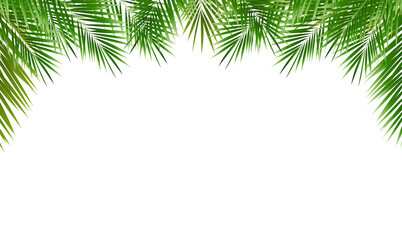 Frame With Green Palm Tree Leaves