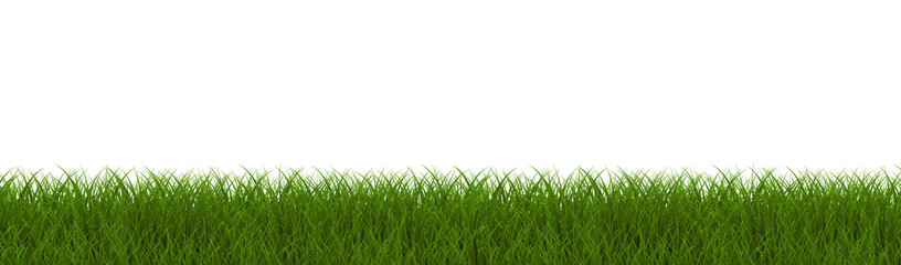 Green Grass Border White With White Background