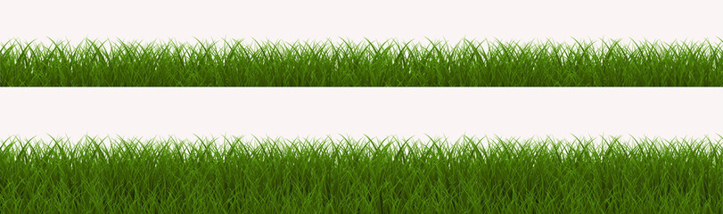 green grass background