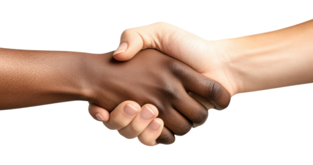 PNG People shaking hands handshake person human.