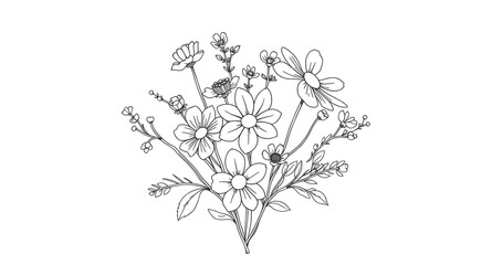 Fototapeta premium flowerbouquet, wildflowers, floral, flowers, line, outline, sketch, handdrawn, botanical, plant, nature, garden, meadow, bloom, blossoms, petals, stems, leaves, rustic, organic, natural, romantic, wed