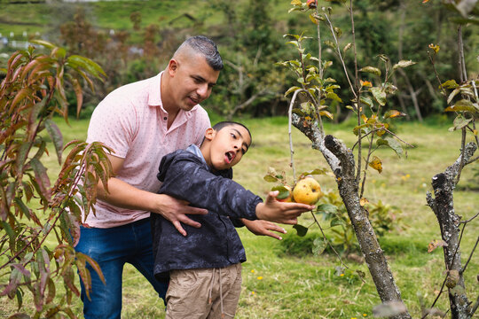 Father and son enjoying orchard adventure together
