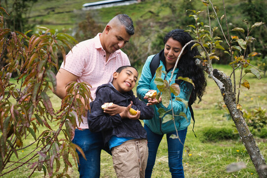 Family enjoying nature and picking fruits together