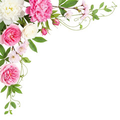 Elegant pink and white roses with greenery isolated on transparent background
