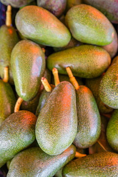 Fresh avocados with natural green textures