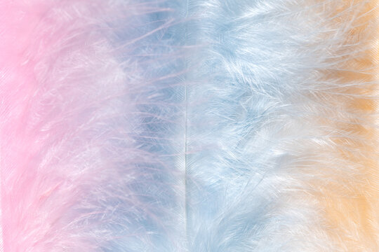 Soft pastel feather background for gentle design