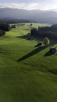 Drone aerial Bavarian pasture landscape with green Pfaffenwinkel meadows, long morning shadows and hazy Ammergau Alps, ideal fortourism campaigns.