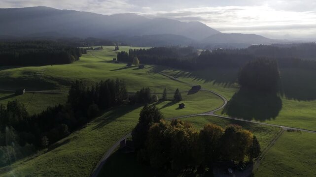 Drone aerial Bavarian pasture landscape with green Pfaffenwinkel meadows, long morning shadows and hazy Ammergau Alps, ideal fortourism campaigns.
