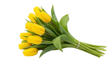 Fototapeta premium Bouquet of Yellow Tulips on Transparent Background PNG File