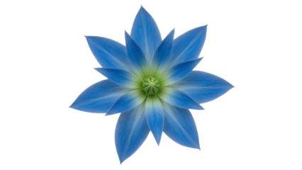 Single Blue Flower Blossom on a Transparent PNG Image